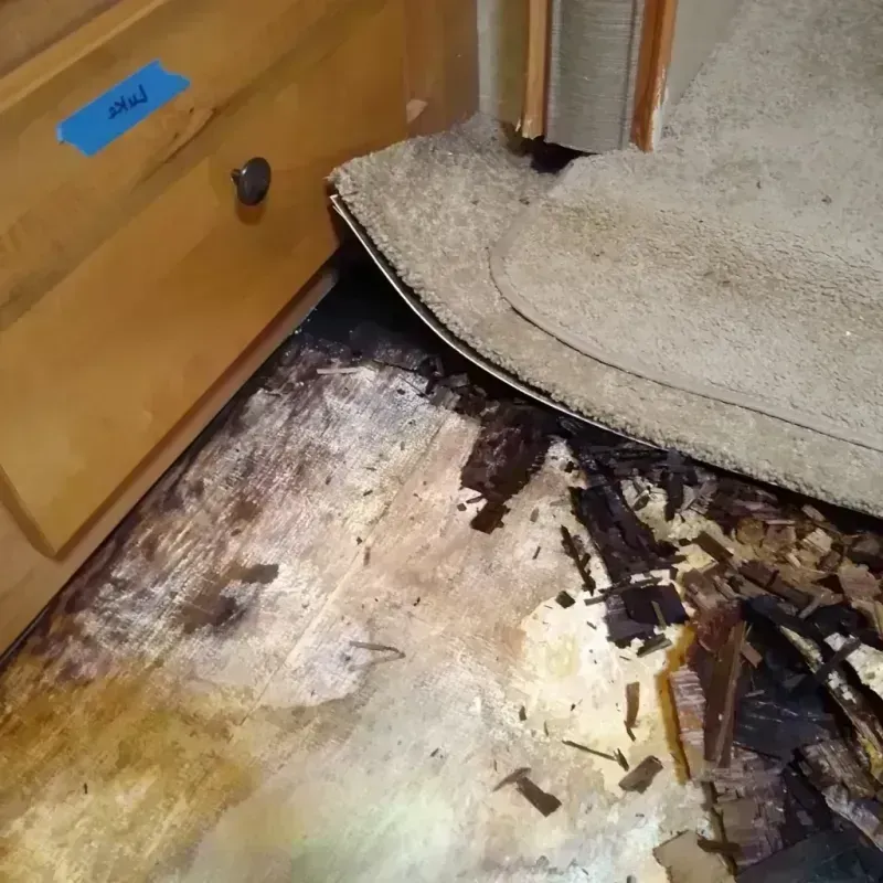 Wood Floor Water Damage in Otero County, CO